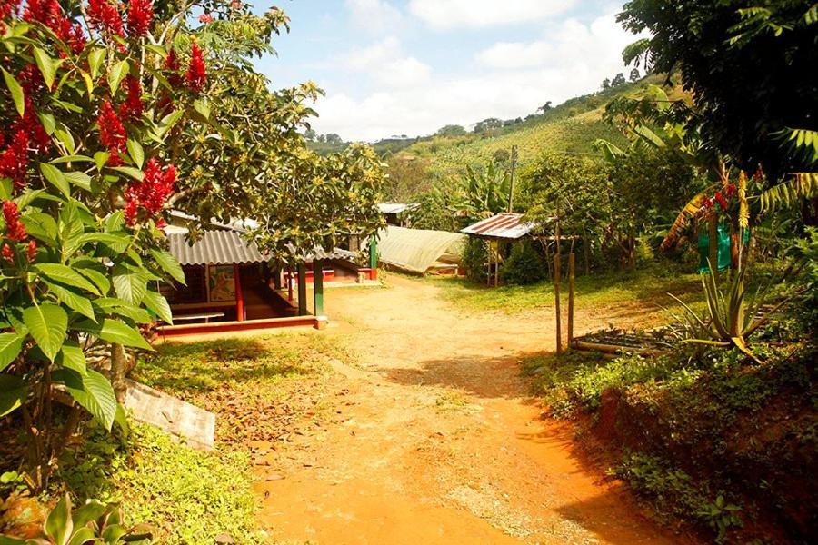 Caficultur -Alojamiento Rural Buenavista  Exterior photo